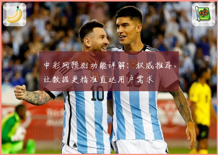 中彩网预测功能详解：权威推荐，让数据更精准直达用户需求