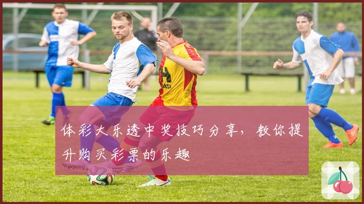 体彩大乐透中奖技巧分享，教你提升购买彩票的乐趣