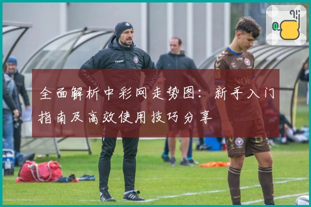 全面解析中彩网走势图：新手入门指南及高效使用技巧分享