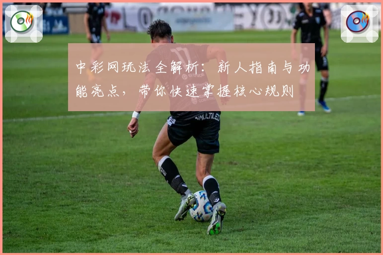 中彩网玩法全解析：新人指南与功能亮点，带你快速掌握核心规则